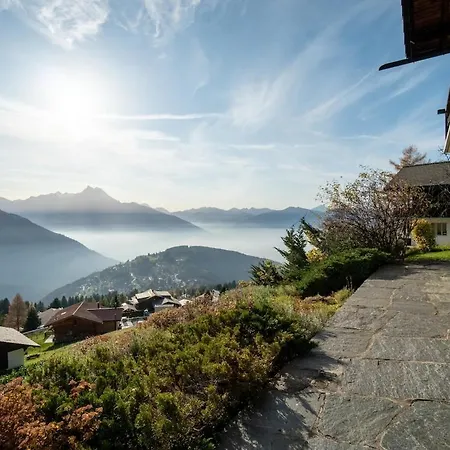 Bouquetins 7 Personnes In Out Gryon