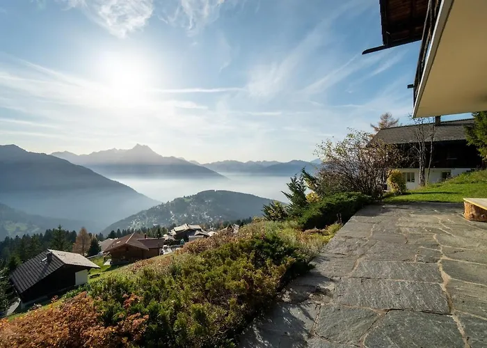 Bouquetins 7 Personnes In Out Gryon