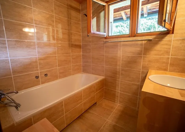 Bouquetins 7 Personnes In Out Gryon